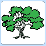 Árbol